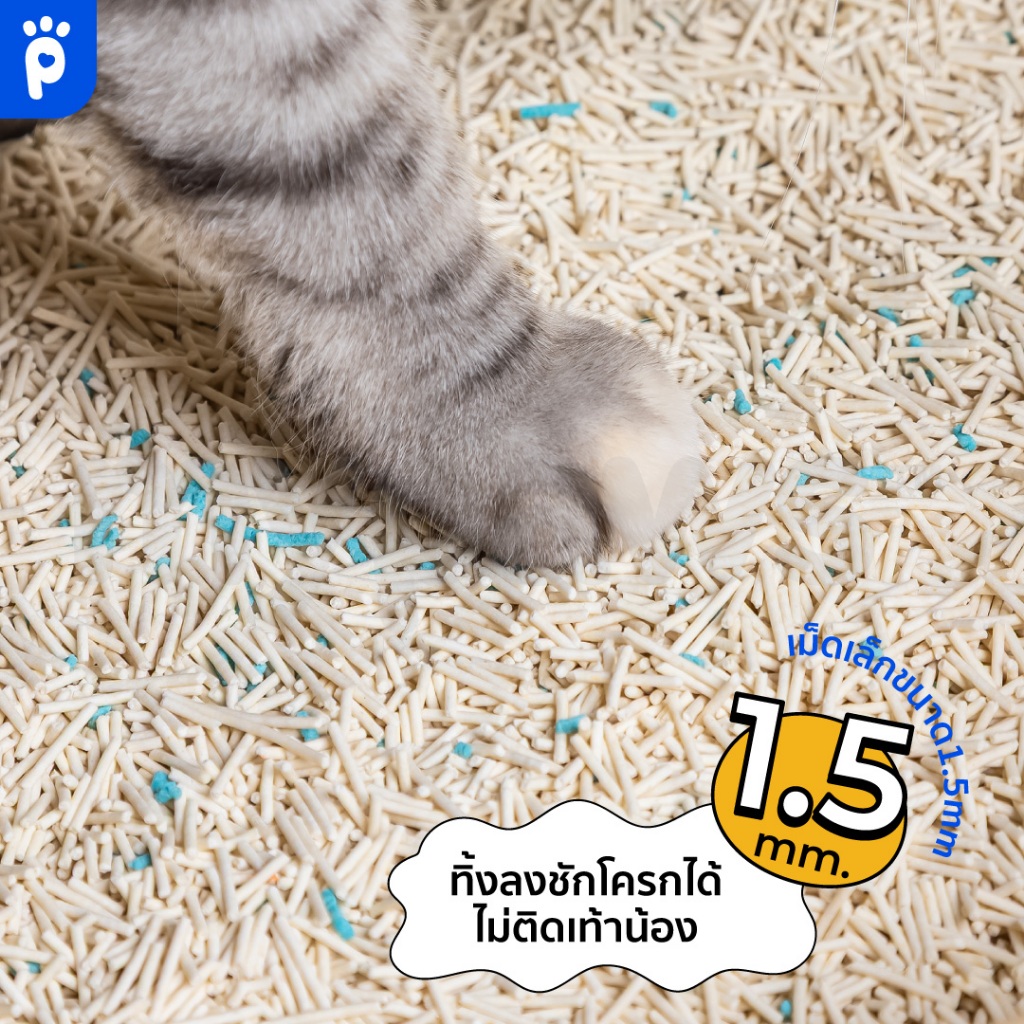 ภาพเพิ่มเติมของ [6L*4ถุง] My Paws ทรายแมวเต้าหู้ Natural Tofu Cat litter จากธรรมชาติ เกรดพรีเมียม ฝุ่นน้อย จับตัวไว ละลายน้ำดี