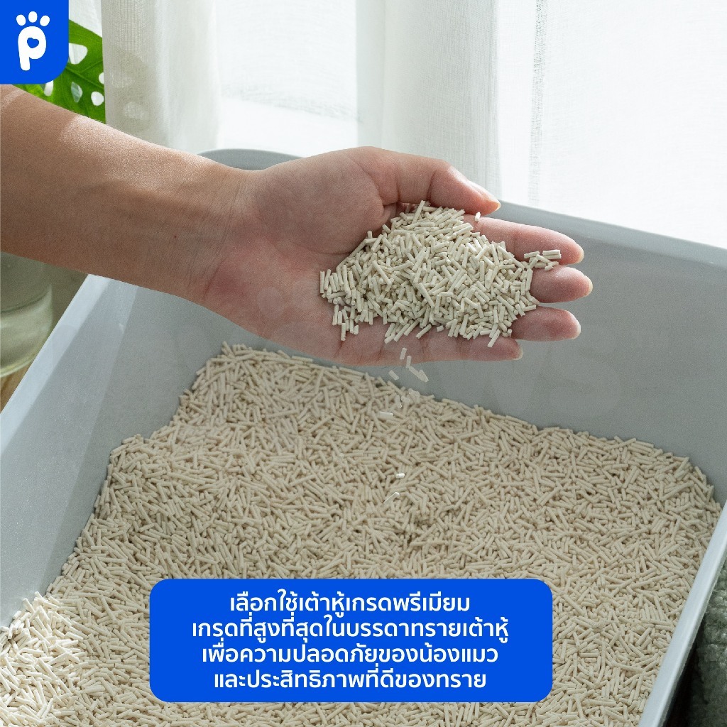 ภาพเพิ่มเติมของ [6L*4ถุง] My Paws ทรายแมวเต้าหู้ Natural Tofu Cat litter จากธรรมชาติ เกรดพรีเมียม ฝุ่นน้อย จับตัวไว ละลายน้ำดี