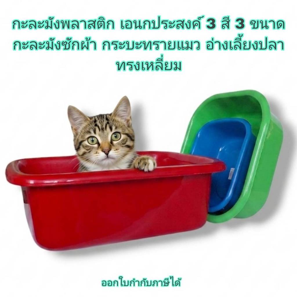 ภาพเพิ่มเติมของ Small Evting กะละมังพลาสติก เอนกประสงค์ 3 สี 3 ขนาด กะละมังซักผ้า กระบะทรายแมว อ่างเลี้ยงปลา