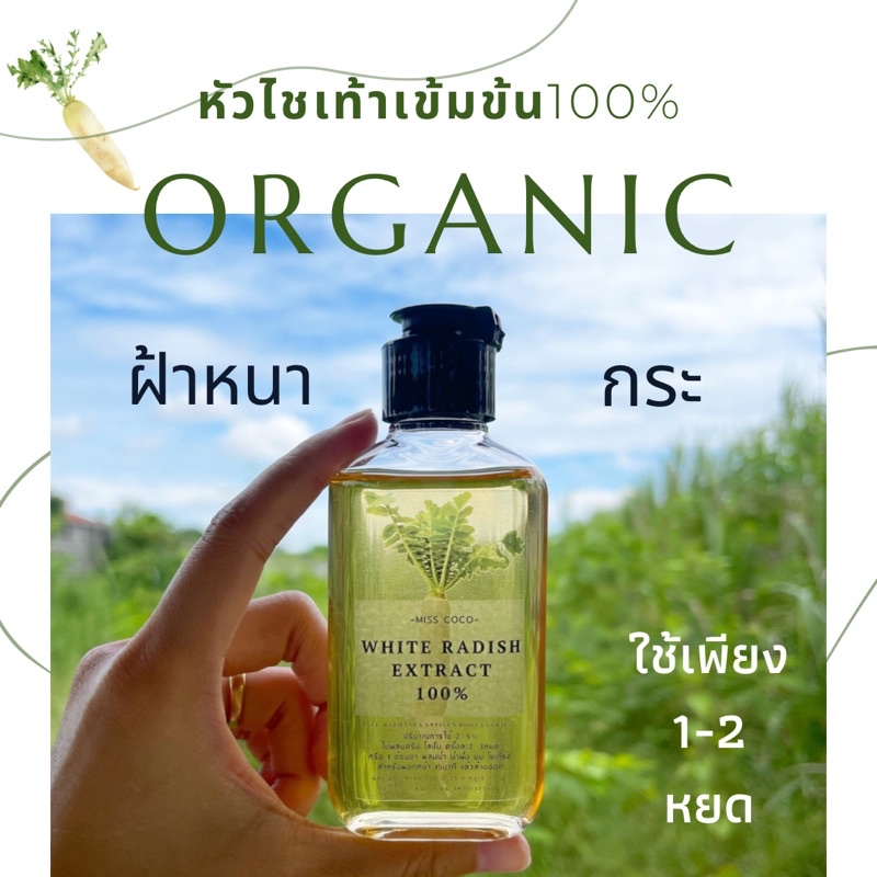 ภาพเพิ่มเติมของ หัวไชเท้าออร์แกนิคสกัดเย็น100% เช็ดฝ้าก่อนทาครีม ผสมครีม สลายฝ้ากระ