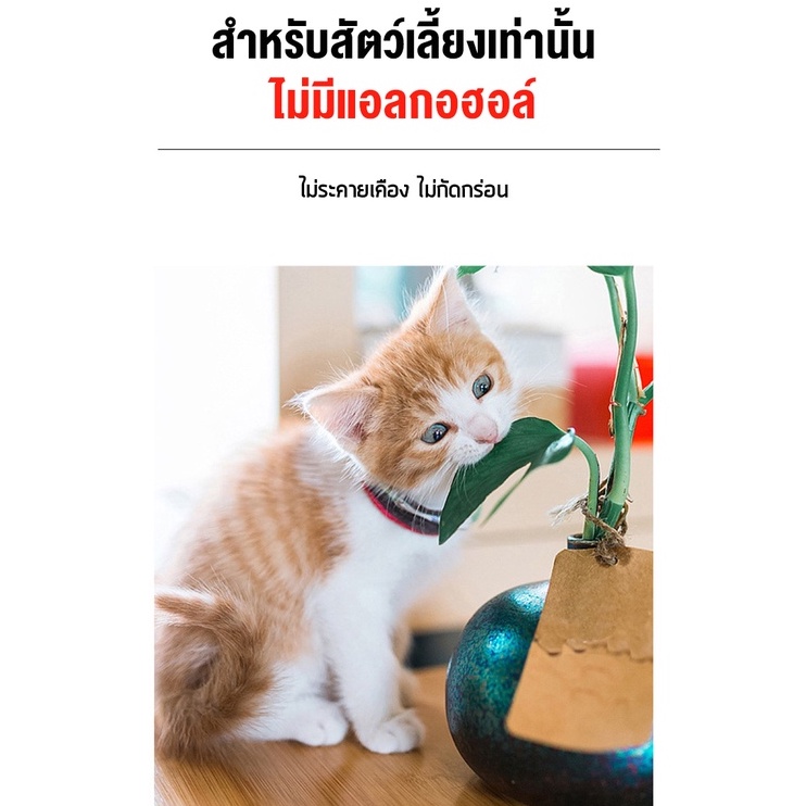 ภาพเพิ่มเติมของ yugogo🐾 ราคาถูก! สเปรย์ดับกลิ่นฉี่แมว ดับกลิ่นฉี่หมา สเปรย์กำจัดกลิ่นทรายแมว 500ml สำหรับสัตว์เลี้ยงเท่านั้