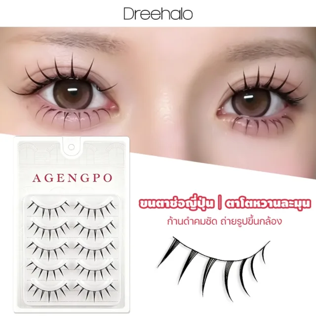 Dreehalo ขนตาปลอมขนตาช่อสไตล์ญี่ปุ่น ตาโตหวาน ก้านดำคมชัด ติดง่าย เบาสบาย ถ่ายรูปขึ้นกล้อง 5 คู่ F301