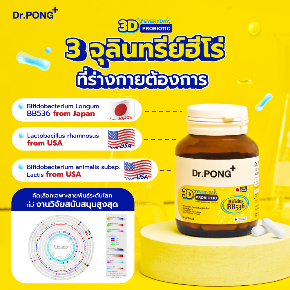 ภาพเพิ่มเติมของ [ช้อปครบ รับฟรี]  Dr.PONG 3D EVERYDAY PROBIOTIC ปรับสมดุลลำไส้ บำรุงผิว เสริมระบบภูมิคุ้มกัน