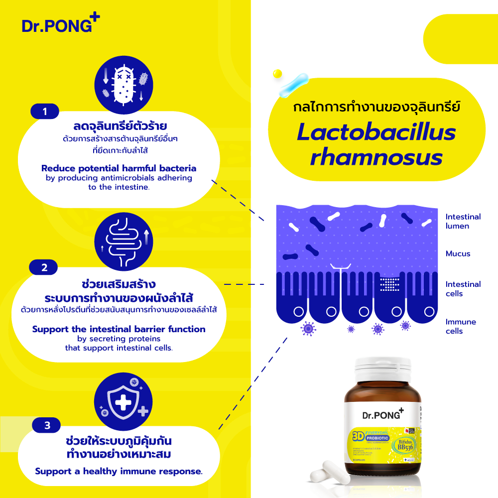 ภาพเพิ่มเติมของ [ช้อปครบ รับฟรี]  Dr.PONG 3D EVERYDAY PROBIOTIC ปรับสมดุลลำไส้ บำรุงผิว เสริมระบบภูมิคุ้มกัน