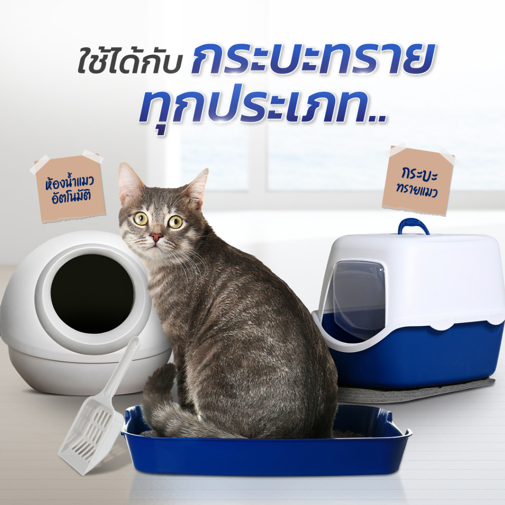 ภาพเพิ่มเติมของ Gager (10 กิโล) ทรายแมวภูเขาไฟ ทรายแมวเบนโทไนท์ Bentonite ดับกลิ่นได้ดีเยี่ยม เกรดพรีเมียม