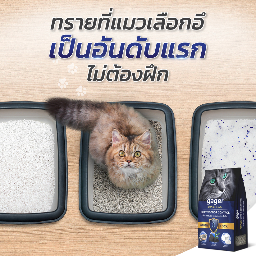 ภาพเพิ่มเติมของ Gager (10 กิโล) ทรายแมวภูเขาไฟ ทรายแมวเบนโทไนท์ Bentonite ดับกลิ่นได้ดีเยี่ยม เกรดพรีเมียม