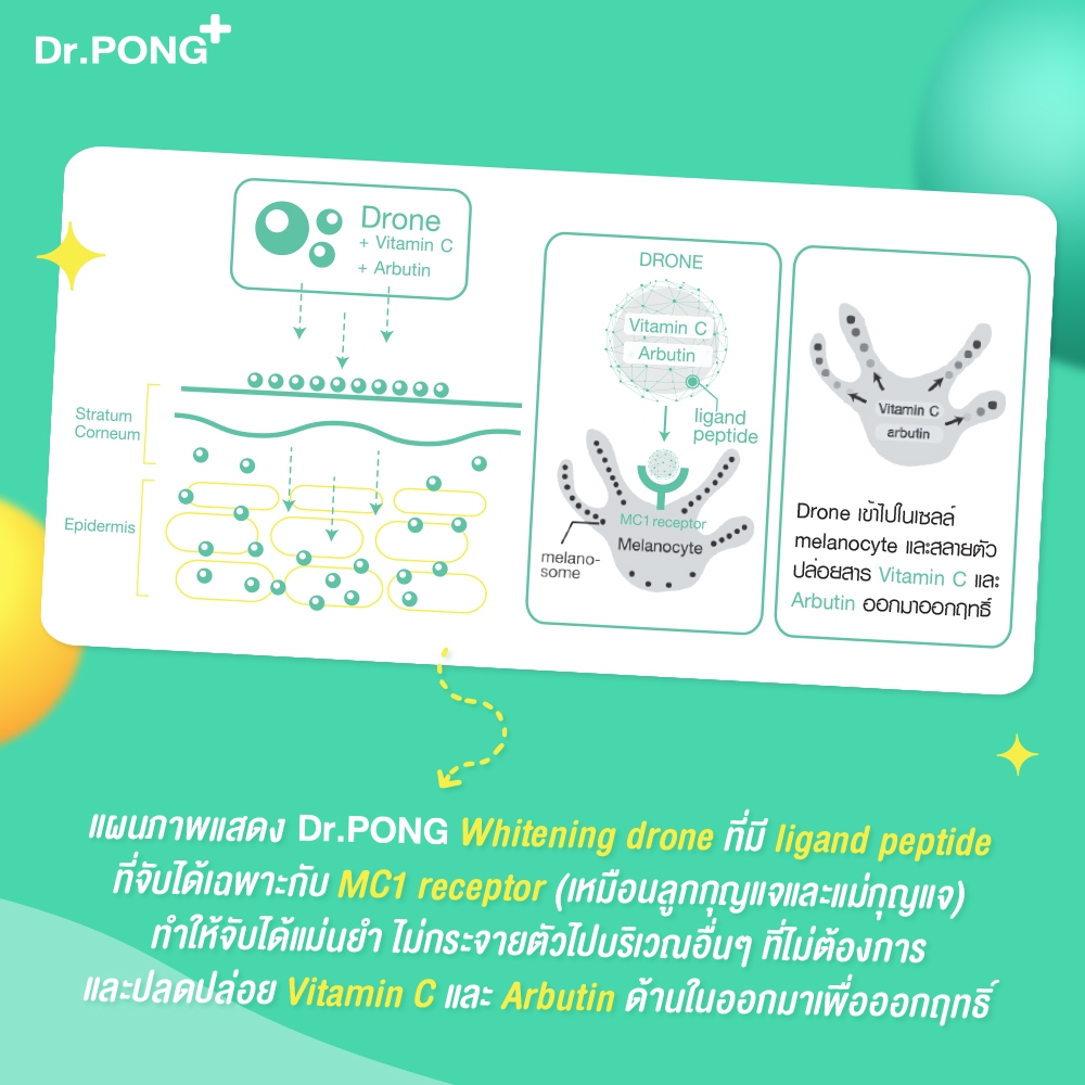 ภาพเพิ่มเติมของ Dr.PONG 28H Whitening drone acne clear spot gel Niacinamide ZincPCA BHA เจลแต้มสิว สำหรับผิวแพ้ง่าย