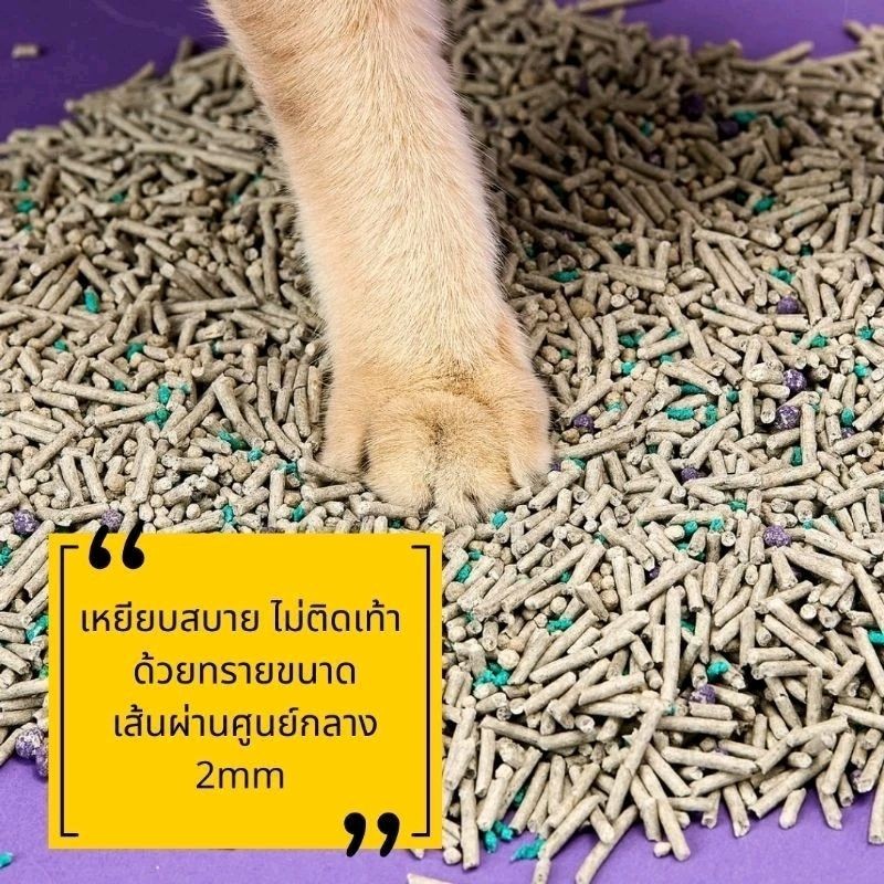 ภาพเพิ่มเติมของ ‼️ออเดอร์ละไม่เกิน4ถุง ไม่สั่งพร้อมสินค้าอื่น‼️ทรายแมวเต้าหู้ สำหรับห้องน้ำอัตโนมัติ 5 in 1 7L ทำจากวัสดุธรรมชาติ
