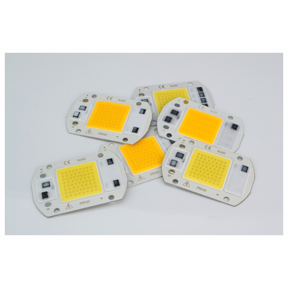 ภาพเพิ่มเติมของ Dselchun LED COB ชิป 110V 220V 10W 20W 30W 50W สมาร์ท IC ไม่ต้องใช้ไดร์เวอร์หลอดไฟ LED ลูกปัดสําหรับสปอตไลท์น้ําท่วม