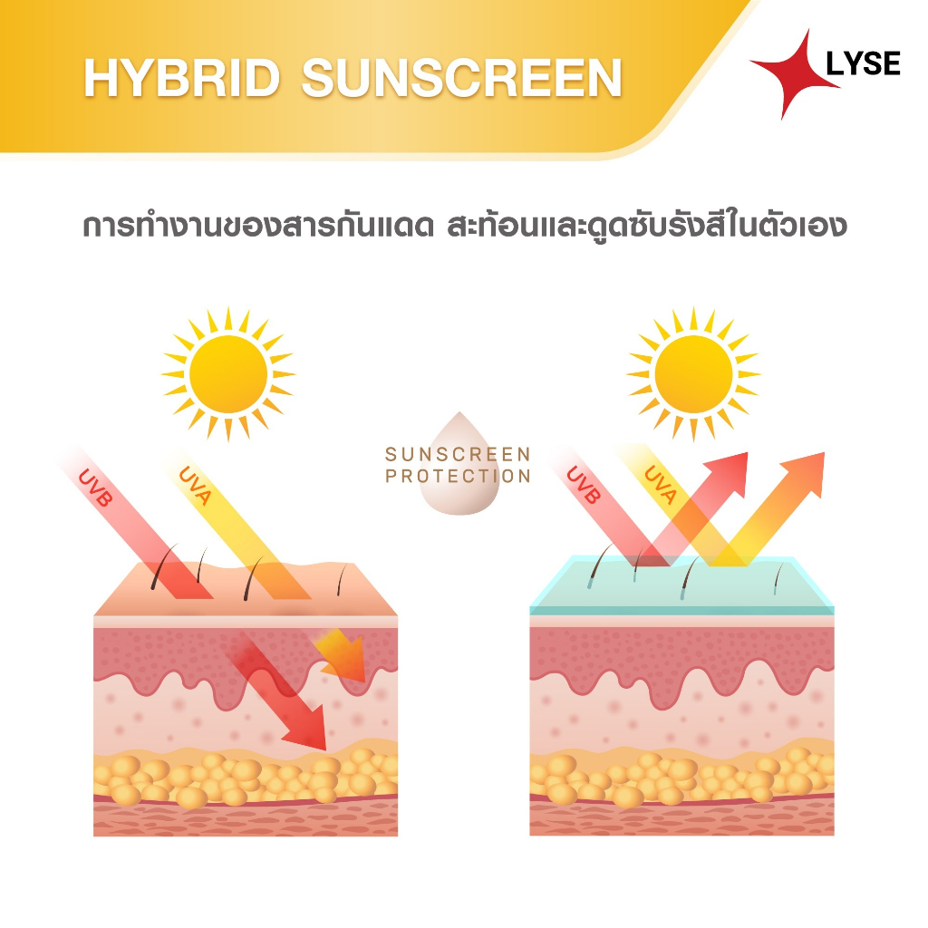 ภาพเพิ่มเติมของ โปร 2 แถม 1 กันแดดไม่ง้อรองพื้น SPF 50 PA+++ 2 หลอด แถม เซรั่มขนาดพกพา 10 กรัม ลิเซ่ LYSE