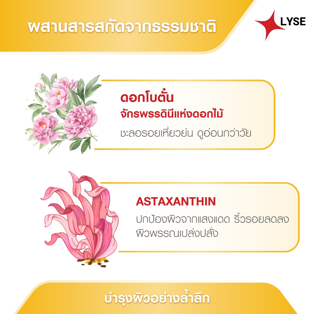 ภาพเพิ่มเติมของ โปร 2 แถม 1 กันแดดไม่ง้อรองพื้น SPF 50 PA+++ 2 หลอด แถม เซรั่มขนาดพกพา 10 กรัม ลิเซ่ LYSE