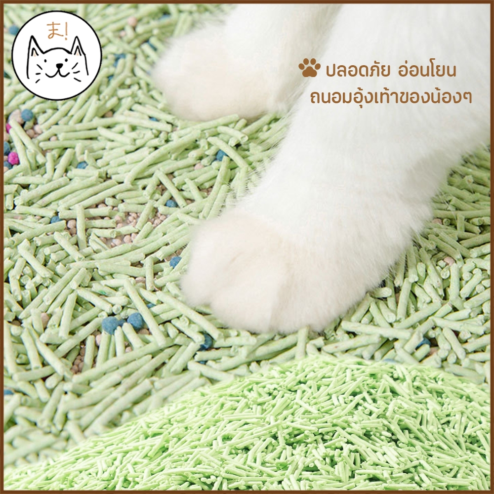 ภาพเพิ่มเติมของ KUMAま ทรายแมว Molly More ทรายแมวเต้าหู้ ผลิตจากธรรมชาติ คุมกลิ่น จับตัวเป็นก้อนไว ไร้ฝุ่น ทรายแมว เบนโทไนท์