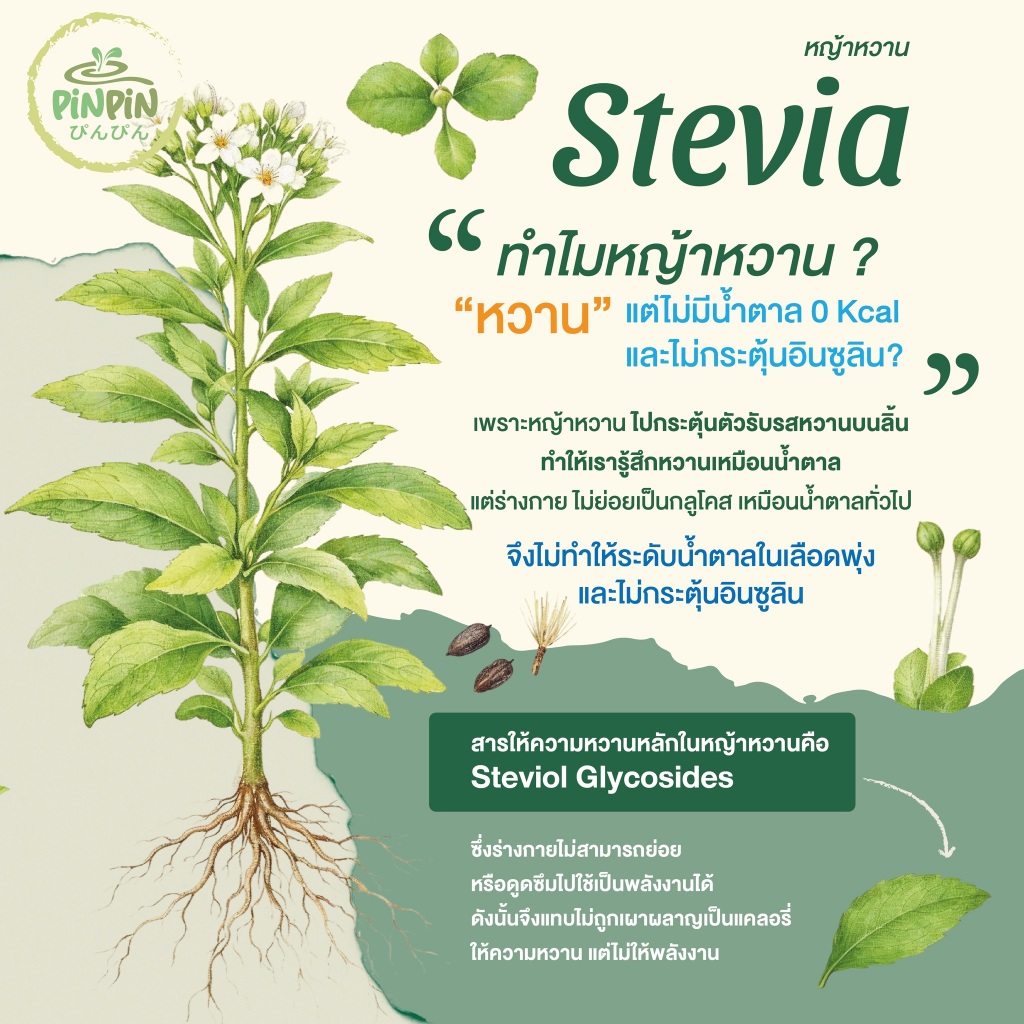 ภาพเพิ่มเติมของ PinPinไซรัปหญ้าหวาน 29 รสชาติ ไซรัปคีโต 0 kcal ไม่มีน้ำตาล
