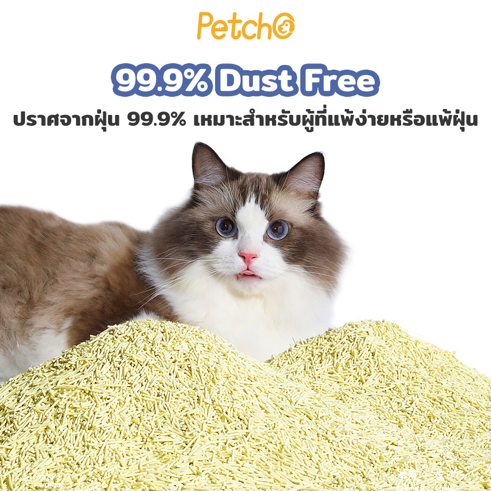 ภาพเพิ่มเติมของ Petcho ทรายแมวเต้าหู้ เกรดพรีเมียม ขนาดอนุภาคเล็ก 1.5 มม จับตัวเป็นก้อนเร็ว ดับกลิ่นดีเยี่ยม