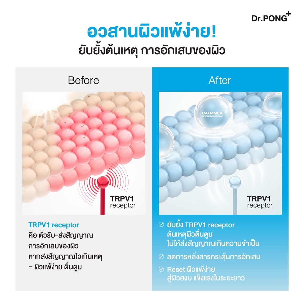 ภาพเพิ่มเติมของ [ฟรี! ของแถม] Dr.PONG CalmMEA 1.5 soothing cream  มอยส์เจอร์ไรเซอร์ บำรุงผิวชุ่มชื้น ลดผิวอักเสบ แดงคัน ปลอบประโลมผิว