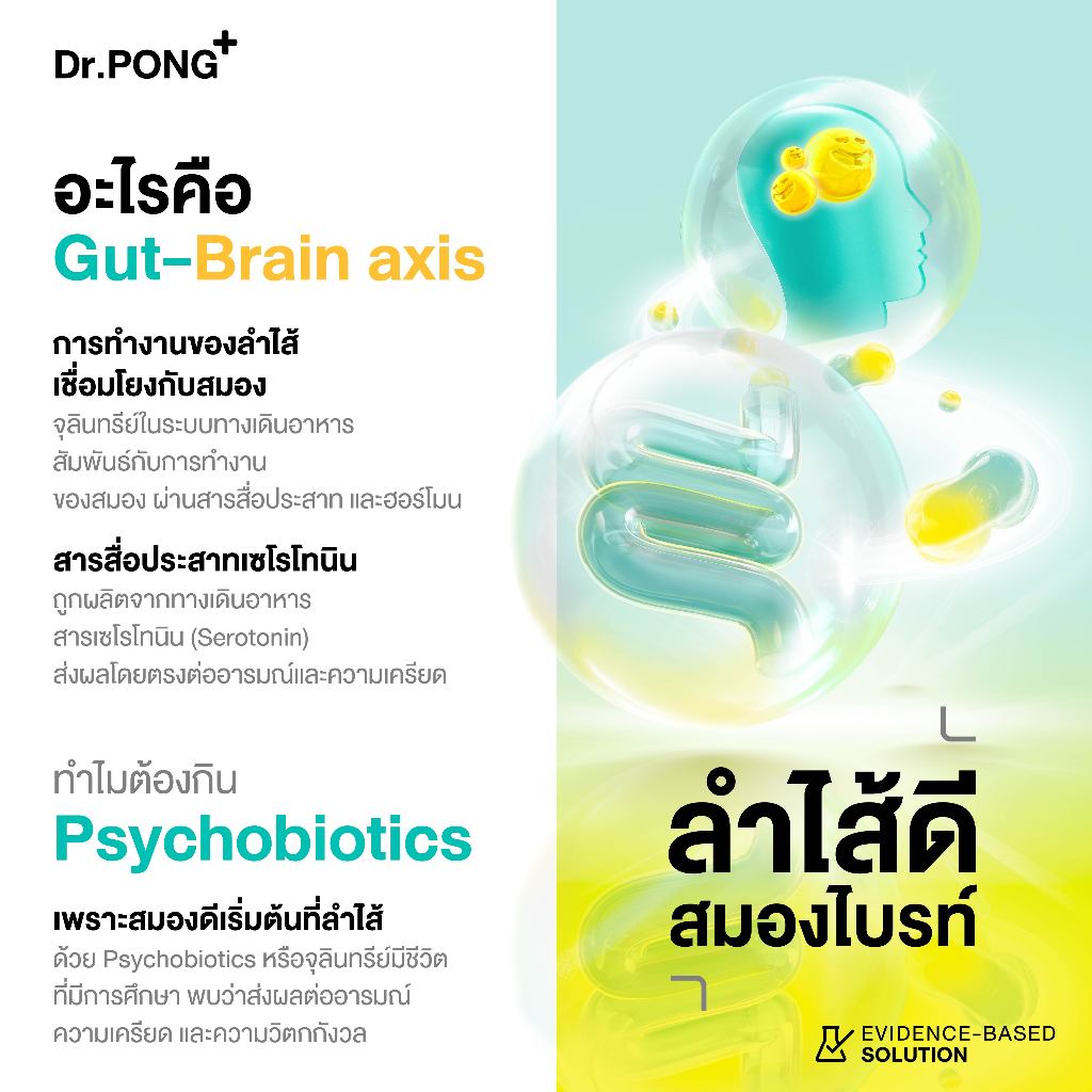 ภาพเพิ่มเติมของ [ช้อปครบ รับฟรี!]  Dr.PONG Harmony Probiotic โพรไบโอติก กรอกปาก  จุลินทรีย์ดีบำรุงสมอง