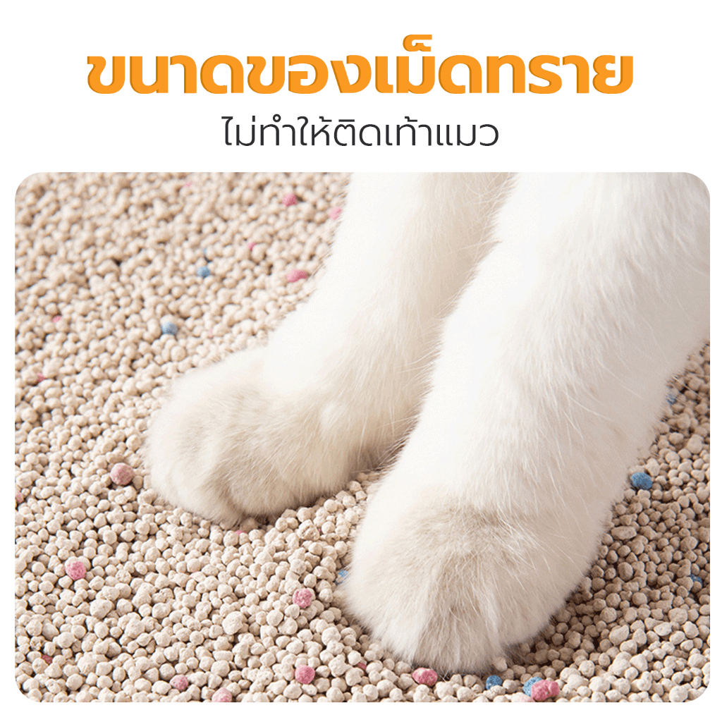 ภาพเพิ่มเติมของ ทรายแมว 10 ลิตร Petus Sand ทรายแมวเบนโทไนท์ กลิ่นหอม จับตัวเป็นก้อนไว 1ถุง-3ถุง