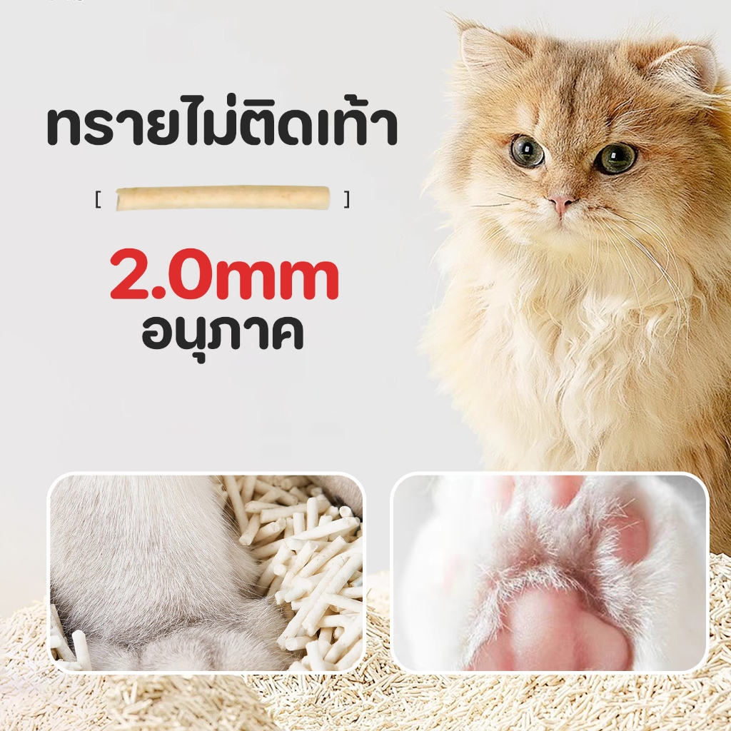 ภาพเพิ่มเติมของ ทรายแมวเต้าหู้ 6 ลิตร.ทรายเต้าหู้ ผลิตจากกากถั่วเหลืองธรรมชาติทราย ละบายกลิ่นได้ดี มีให้เลือก7กลิ่น