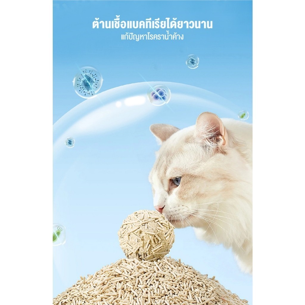 ภาพเพิ่มเติมของ ทรายแมว 6ลิตร ผสมเบนโทไนท์+คริสตัล ไร้ฝุ่น ไม่ติดเท้า แถมฟรี! สะอาดยั่งยืน 🚀