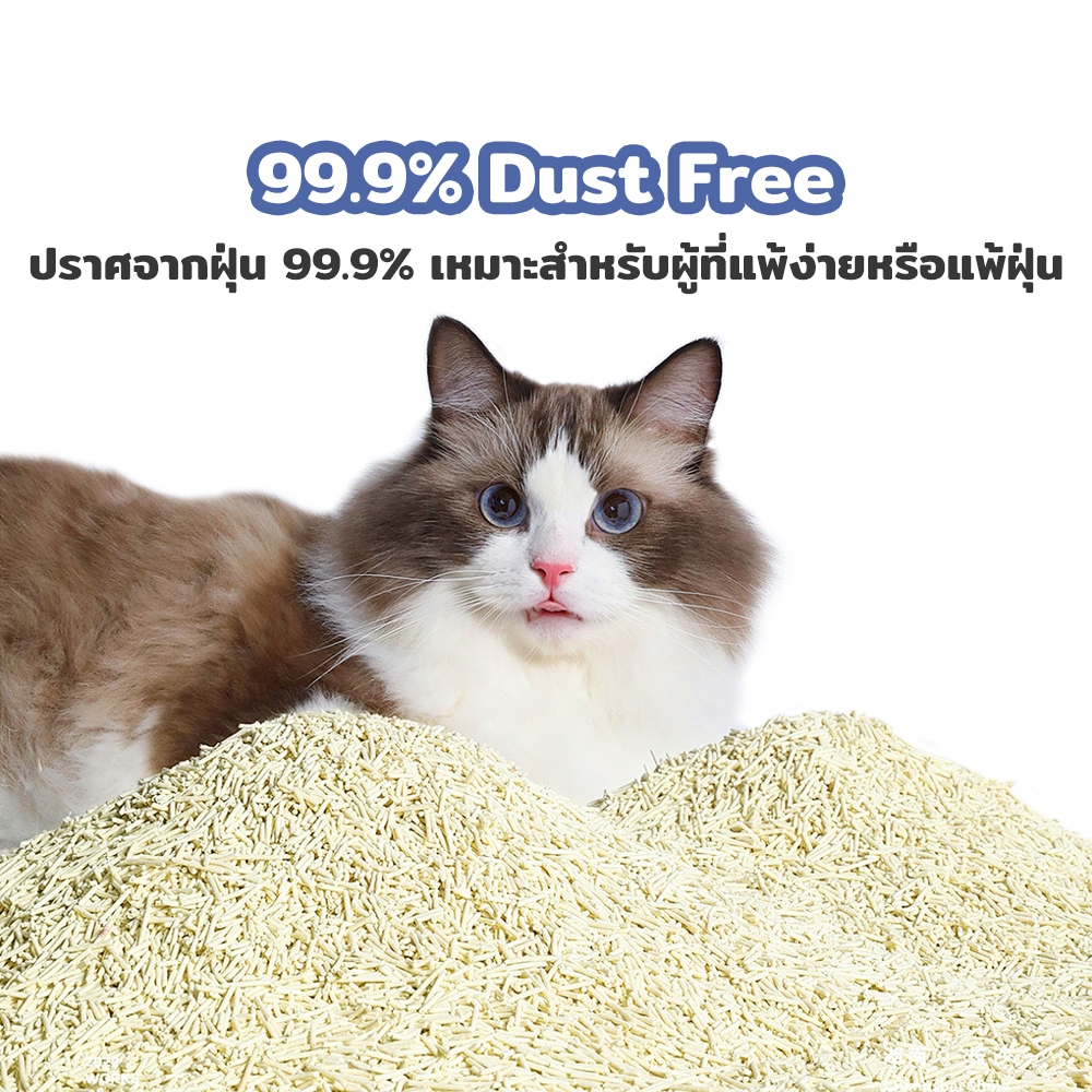ภาพเพิ่มเติมของ Pawblic × Petcho🐾ทรายแมวเต้าหู้ ออร์แกนิค100% ทรายแมว tofu จับตัวเป็นก้อนเร็ว ขนาดอนุภาคเล็ก 1.5 มม ไร้ฝุ่น ดับกลิ่นดีเ