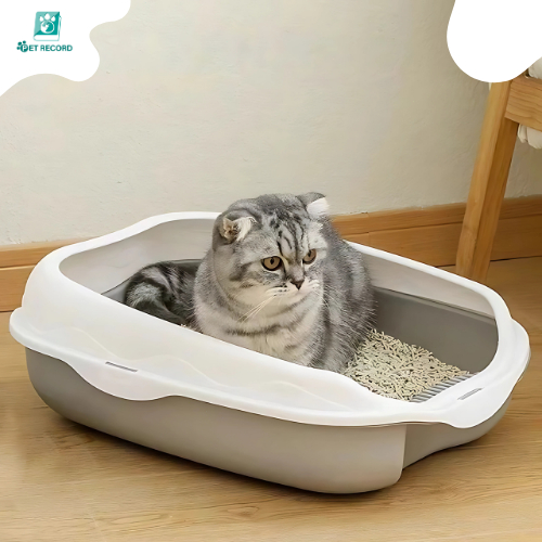 ภาพเพิ่มเติมของ Pet Record กระบะทรายแมว วัสดุPPหนา แข็งแรงทนทาน ทำความสะอาดง่าย ขอบมนปลอดภัย กันทรายกระเด็น