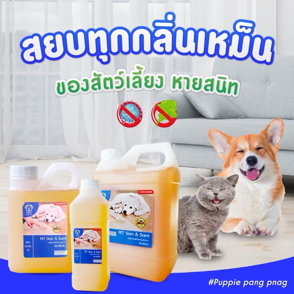 ภาพเพิ่มเติมของ น้ำยาดับกลิ่นสัตว์เลี้ยง | ผสมน้ำใช้ได้นานมากกว่า 2 เดือน++ ดับกลิ่นฉี่สุนัขฉี่แมว ของใช้สัตว์เลี้ยง