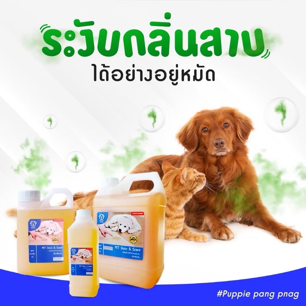 ภาพเพิ่มเติมของ น้ำยาดับกลิ่นสัตว์เลี้ยง | ผสมน้ำใช้ได้นานมากกว่า 2 เดือน++ ดับกลิ่นฉี่สุนัขฉี่แมว ของใช้สัตว์เลี้ยง
