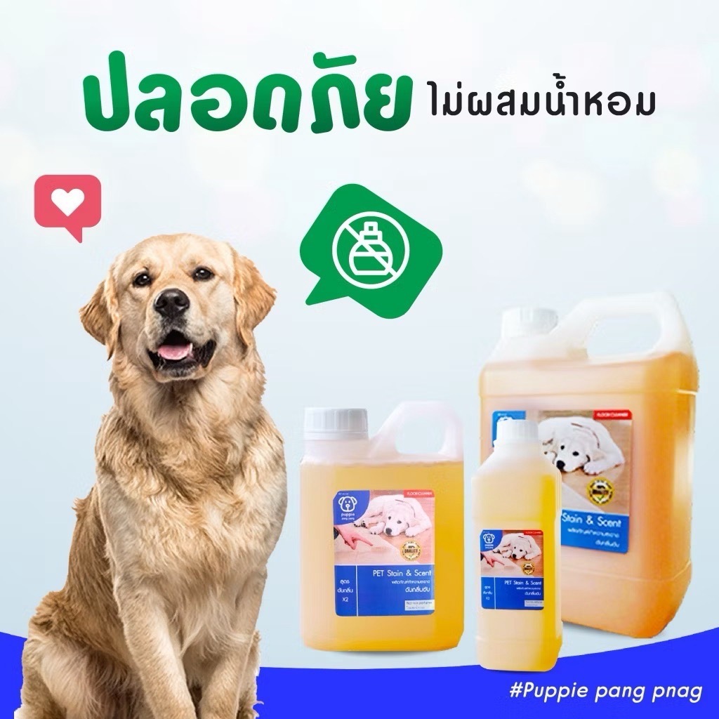 ภาพเพิ่มเติมของ น้ำยาดับกลิ่นสัตว์เลี้ยง | ผสมน้ำใช้ได้นานมากกว่า 2 เดือน++ ดับกลิ่นฉี่สุนัขฉี่แมว ของใช้สัตว์เลี้ยง
