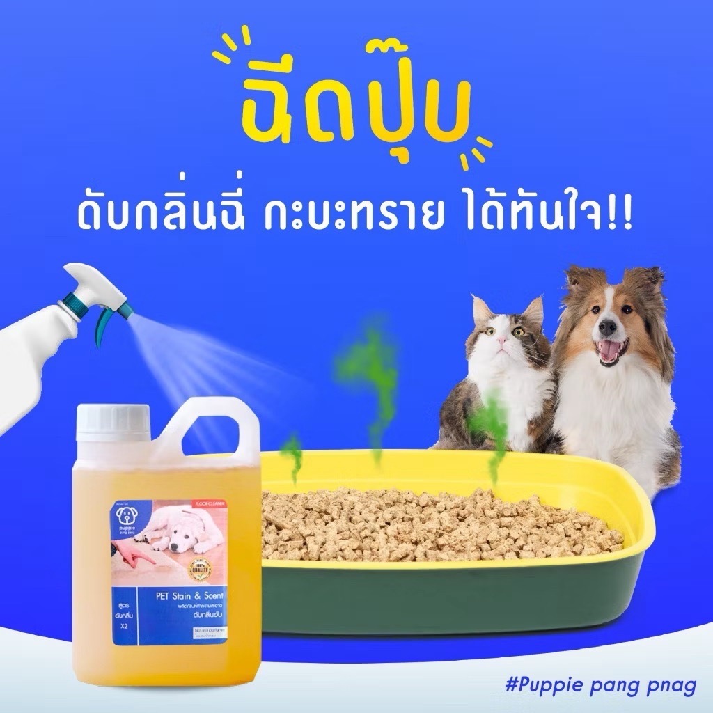ภาพเพิ่มเติมของ น้ำยาดับกลิ่นสัตว์เลี้ยง | ผสมน้ำใช้ได้นานมากกว่า 2 เดือน++ ดับกลิ่นฉี่สุนัขฉี่แมว ของใช้สัตว์เลี้ยง
