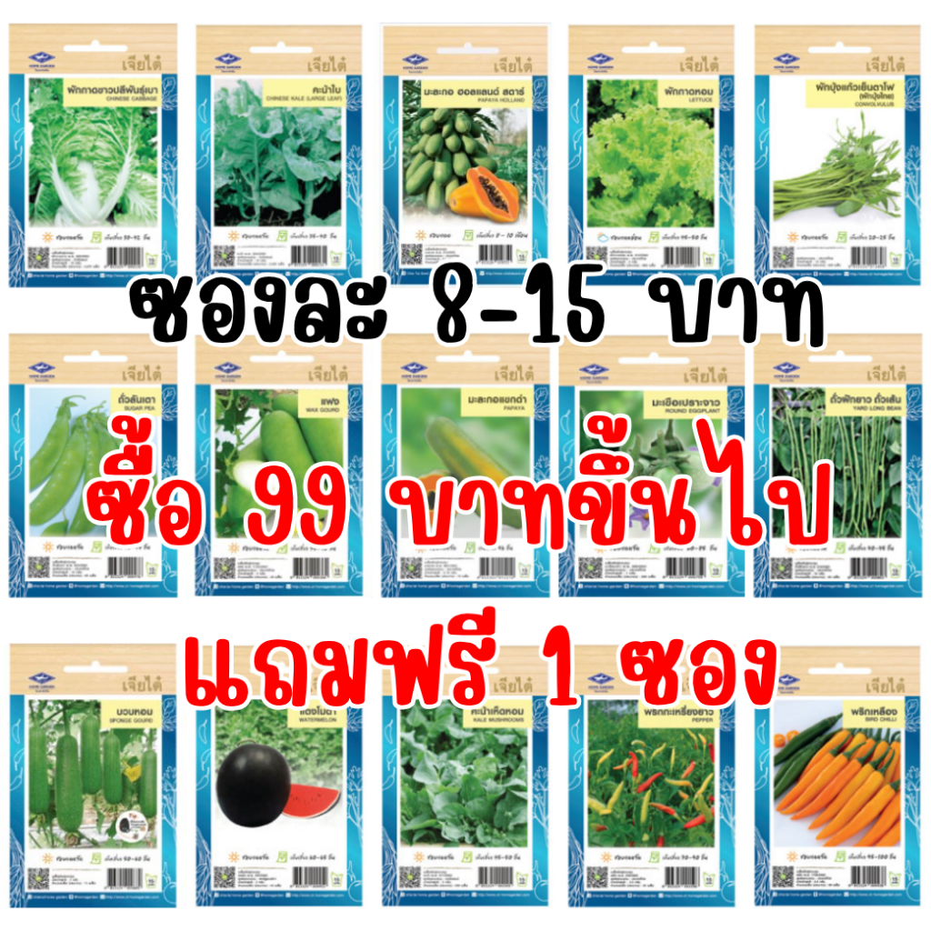 ภาพเพิ่มเติมของ เมล็ดผักเจียไต๋ OP ของแท้ ซองละ 8-15 บาท ซื้อยอด 99 บาทขึ้นไปแถมฟรี 1 ซอง