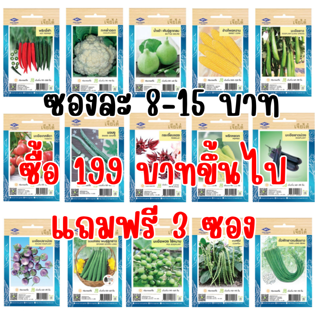 ภาพเพิ่มเติมของ เมล็ดผักเจียไต๋ OP ของแท้ ซองละ 8-15 บาท ซื้อยอด 99 บาทขึ้นไปแถมฟรี 1 ซอง