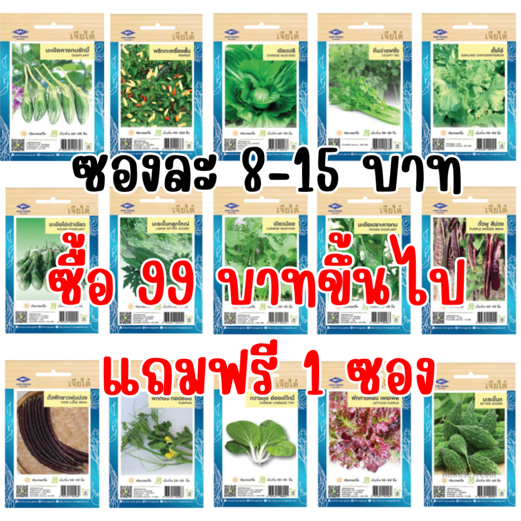 ภาพเพิ่มเติมของ เมล็ดผักเจียไต๋ OP ของแท้ ซองละ 8-15 บาท ซื้อยอด 99 บาทขึ้นไปแถมฟรี 1 ซอง