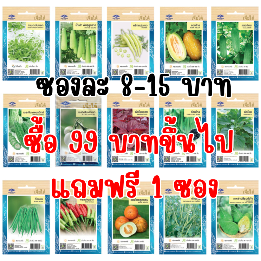 ภาพเพิ่มเติมของ เมล็ดผักเจียไต๋ OP ของแท้ ซองละ 8-15 บาท ซื้อยอด 99 บาทขึ้นไปแถมฟรี 1 ซอง