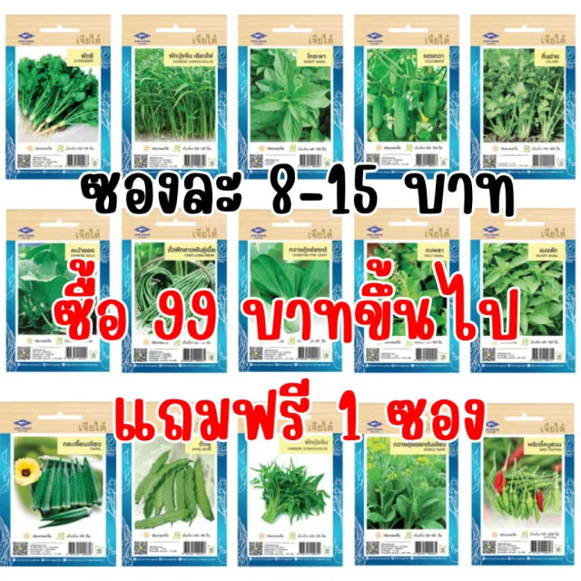 เมล็ดผักเจียไต๋ OP ของแท้ ซองละ 8-15 บาท ซื้อยอด 99 บาทขึ้นไปแถมฟรี 1 ซอง