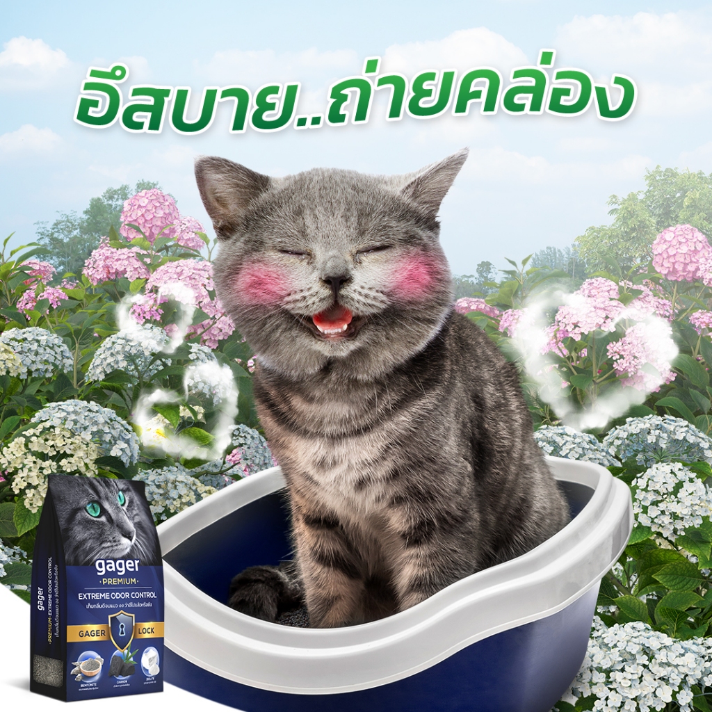 ภาพเพิ่มเติมของ Gager (กาเจอร์) ทรายแมว Bentonite ทรายแมวภูเขาไฟพรีเมียม ทรายแมวเบนโทไนท์ ทรายแมวกาเจอร์(10กิโล3ถุง)