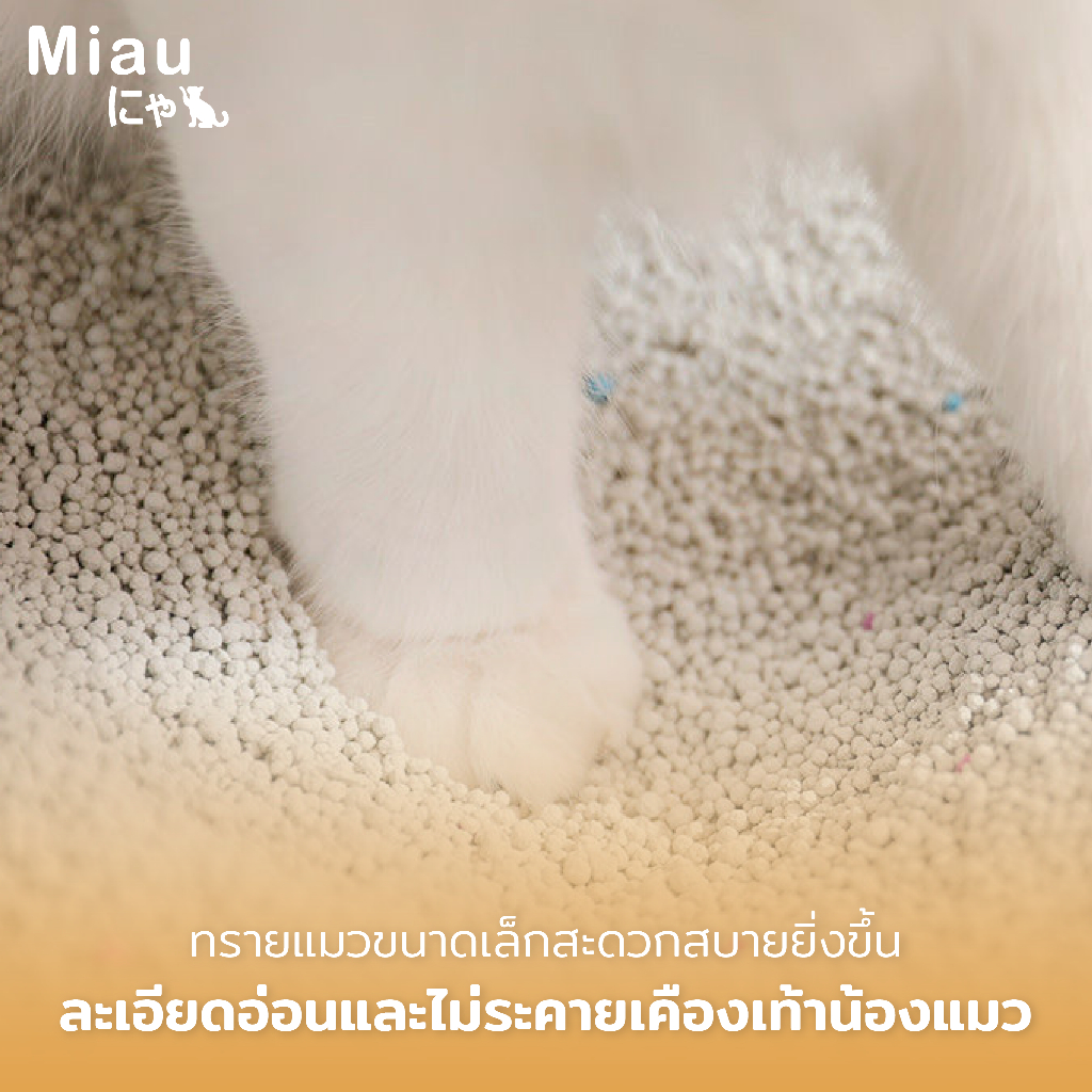 ภาพเพิ่มเติมของ Miau Miau ทรายแมวสูตรธรรมชาติ 2kg คุมกลิ่นเยี่ยม ไร้ฝุ่น ไม่ระคายผิว แมวไม่แพ้  เบนโทไนต์ เหมาะกับทุกสายพันธุ์ #PET09