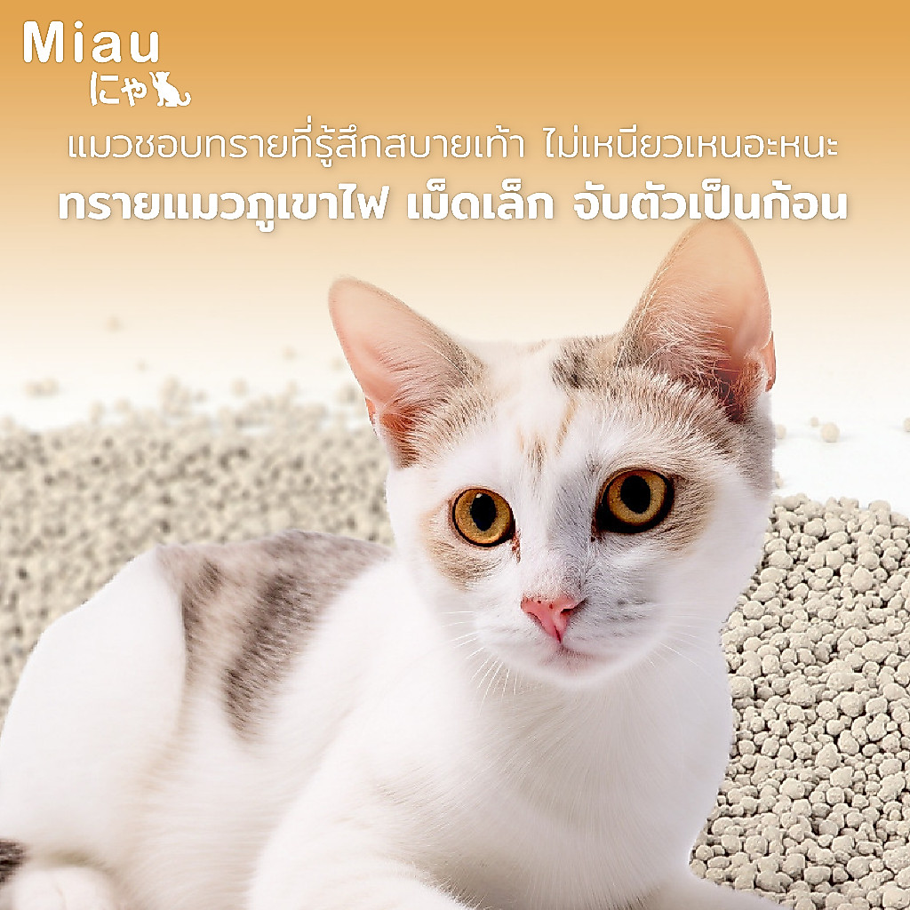 ภาพเพิ่มเติมของ Miau Miau ทรายแมวสูตรธรรมชาติ 2kg คุมกลิ่นเยี่ยม ไร้ฝุ่น ไม่ระคายผิว แมวไม่แพ้  เบนโทไนต์ เหมาะกับทุกสายพันธุ์ #PET09