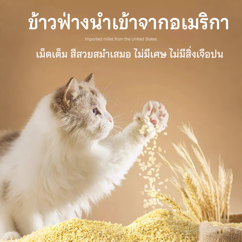 ภาพเพิ่มเติมของ Petclear 100% Millet Cat Litter 2.5กก./6L กำจัดกลิ่นได้นาน 10 วัน ทรายแมวข้าวฟ่างคุณภาพพรีเมียม ทรายแมวข้าวโพด
