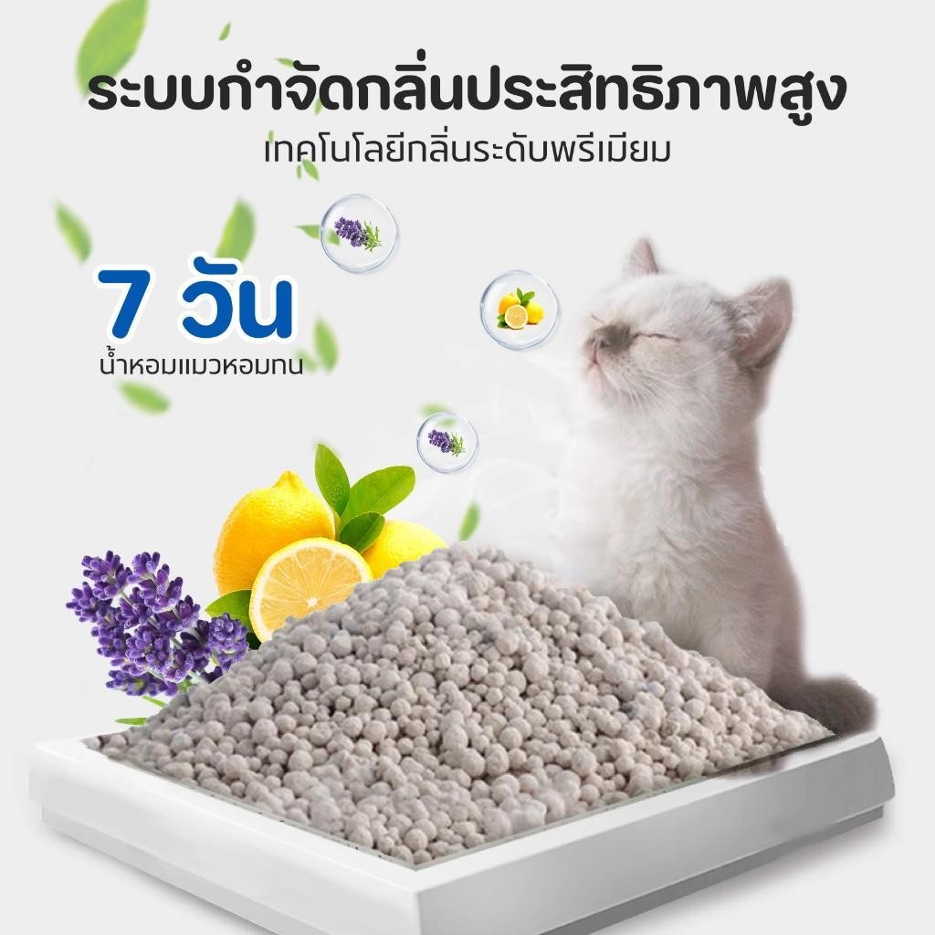 ภาพเพิ่มเติมของ 【PET RECORD】ทรายแมว 10ลิตร 5ลิตร  กลิ่นเบนโทไนท์ 100% ป้องกันการเจริญเติบโตของแบคทีเรีย