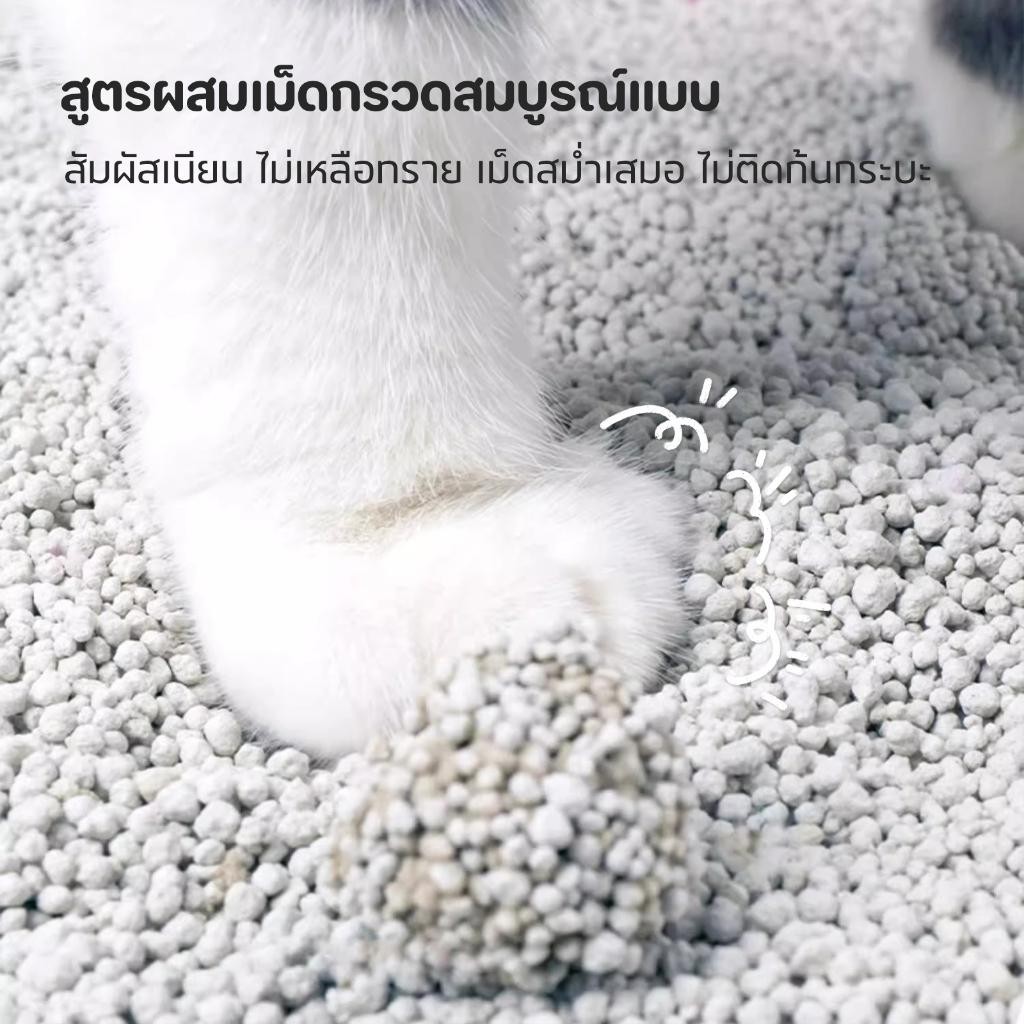 ภาพเพิ่มเติมของ 【PET RECORD】ทรายแมว 10ลิตร 5ลิตร  กลิ่นเบนโทไนท์ 100% ป้องกันการเจริญเติบโตของแบคทีเรีย