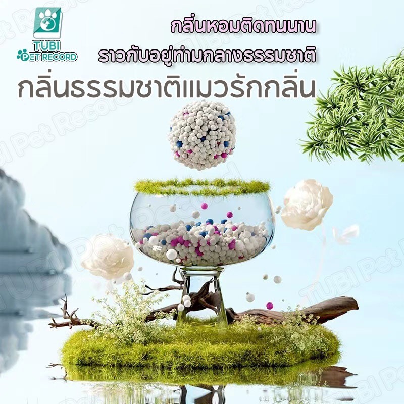 ภาพเพิ่มเติมของ 【PETStar1】🥇ทรายแมวเบนโทไนท์ ดูดซับดี ไร้กลิ่น ไม่มีฝุ่น🥇ลดฝุ่น 99% - ทรายแมวคุณภาพพรีเมี่ยม ปลอดภัยต่อระบบทางเดินหาย