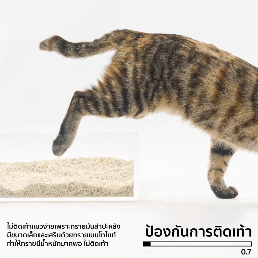 ภาพเพิ่มเติมของ PIDAN Mixed Cat Litter (Cassava + Tofu)ทรายแมวจากมันสำปะหลังผสม 100% ไร้สารเคมี2.4กิโล เก็บกลิ่นดีที่สุดทิ้งลงชักโครกได้