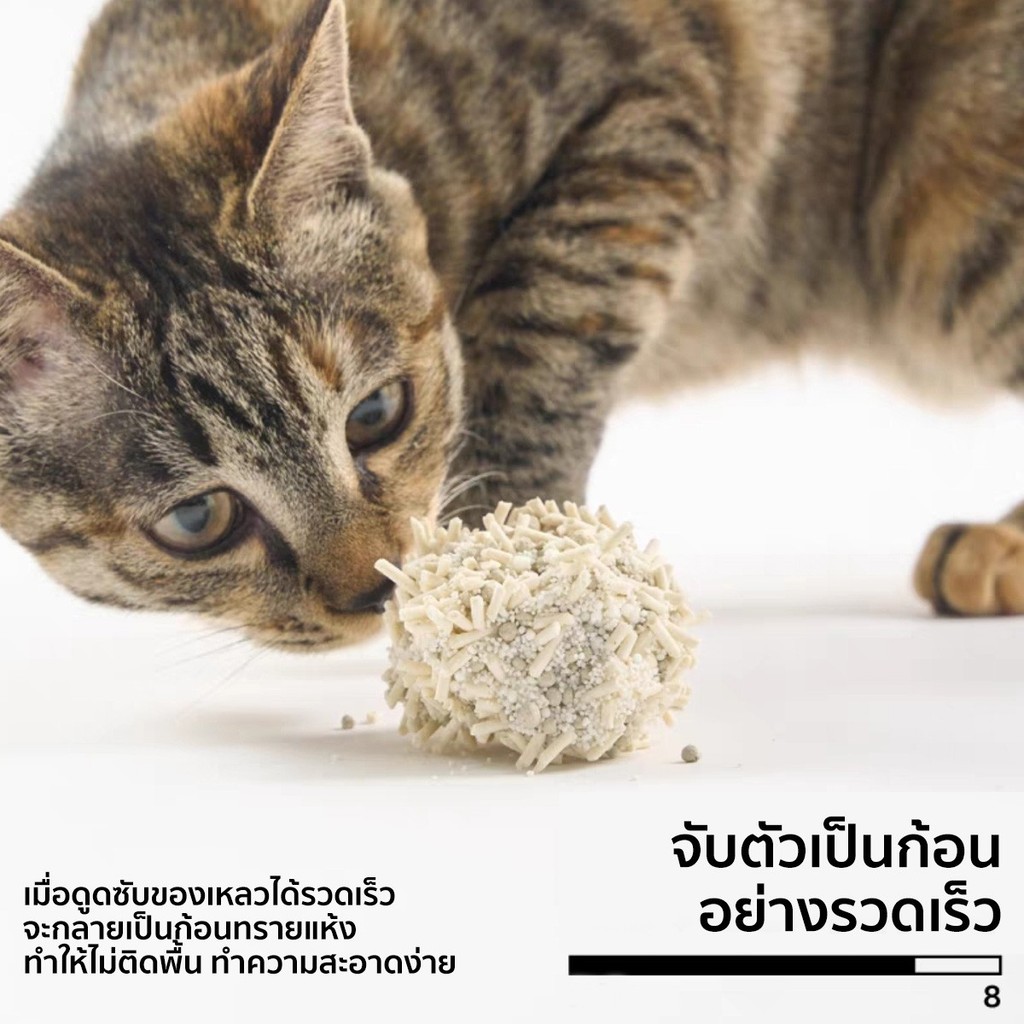 ภาพเพิ่มเติมของ PIDAN Mixed Cat Litter (Cassava + Tofu)ทรายแมวจากมันสำปะหลังผสม 100% ไร้สารเคมี2.4กิโล เก็บกลิ่นดีที่สุดทิ้งลงชักโครกได้