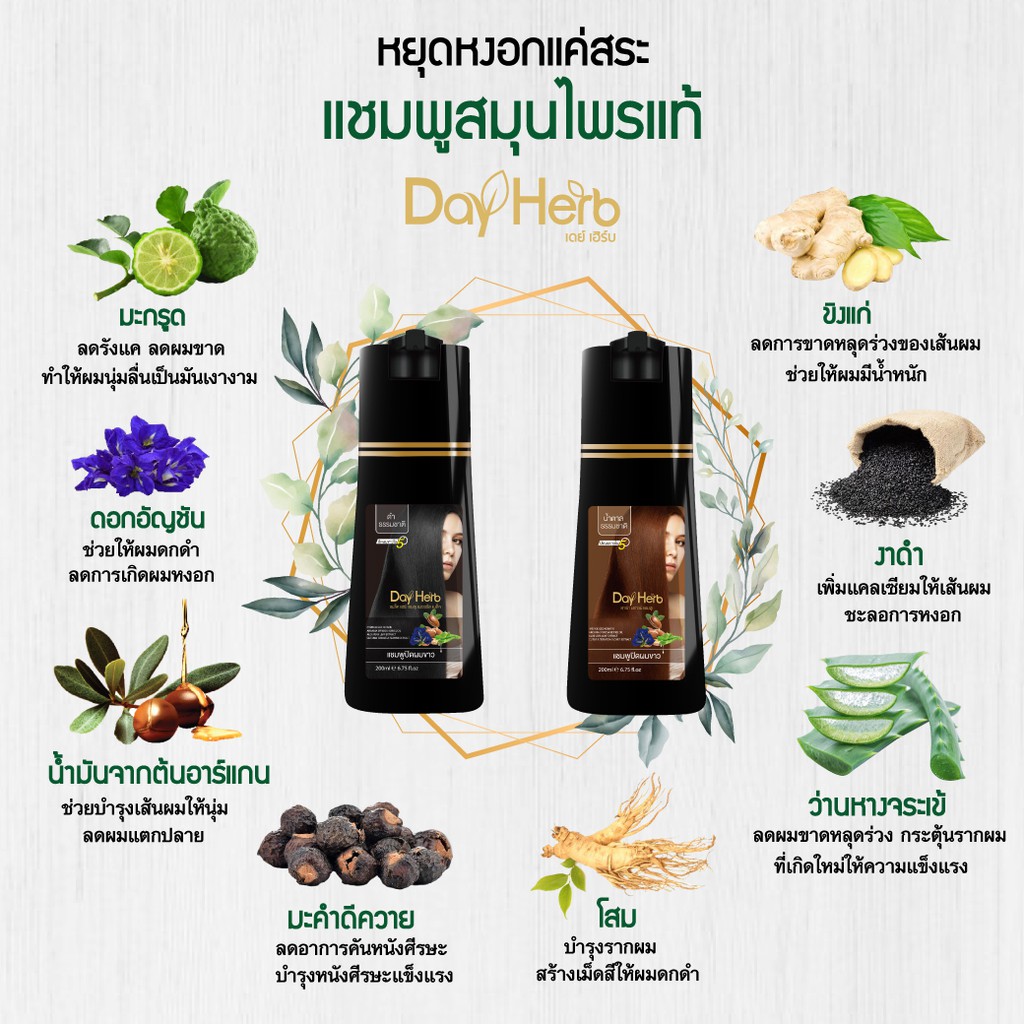 ภาพเพิ่มเติมของ DayHerb แชมพูปิดผมขาว เซ็ต 2 ขวด สมุนไพรแท้ ปิดหงอก ลดหงอก ผมดำใน 5 นาที ยาสระผมปิดผมขาว คุ้มกว่า 200ml x2