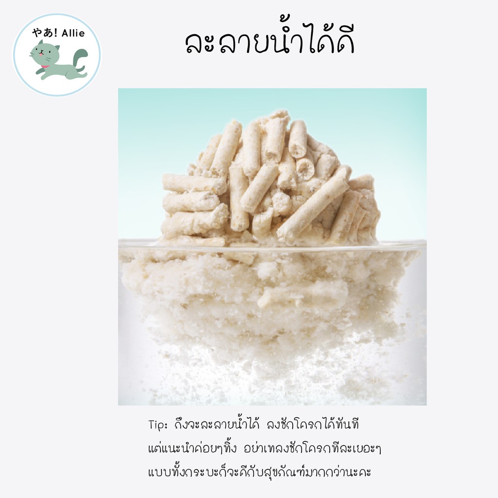 ภาพเพิ่มเติมของ กลิ่นใหม่มาแล้ว ลาเวนเดอร์ เลมอน จับตัวดี 6L(kg) ทรายเต้าหู้ล้วนย่อยสลายได้ กับทรายแบบผสม🔥!